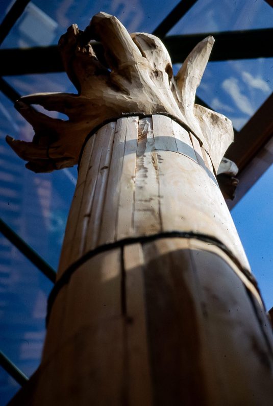 Arbre totemique Evreux 88-28