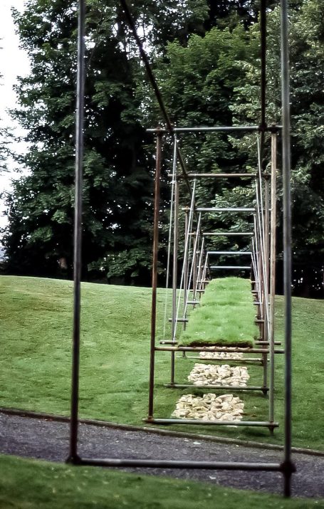 Jardin suspendu Oissel 88-5