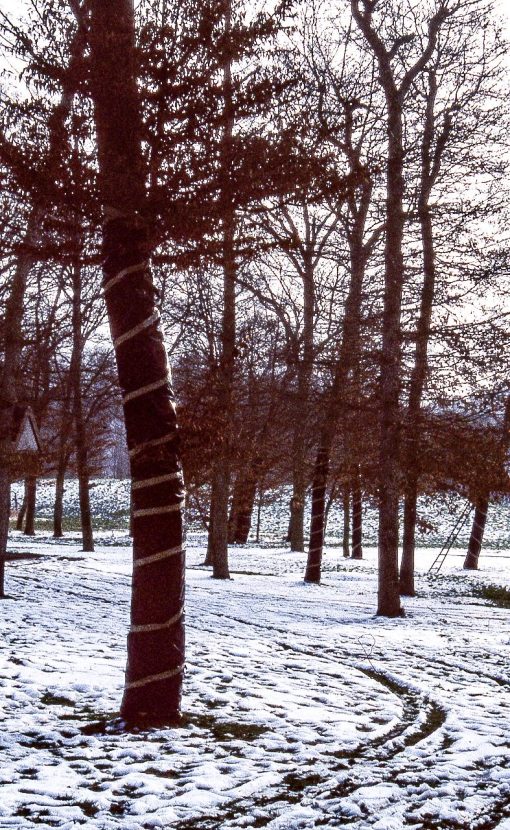 img20230925_14234425