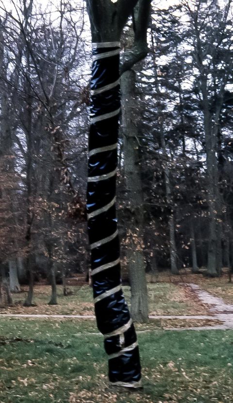 img20230925_14245811